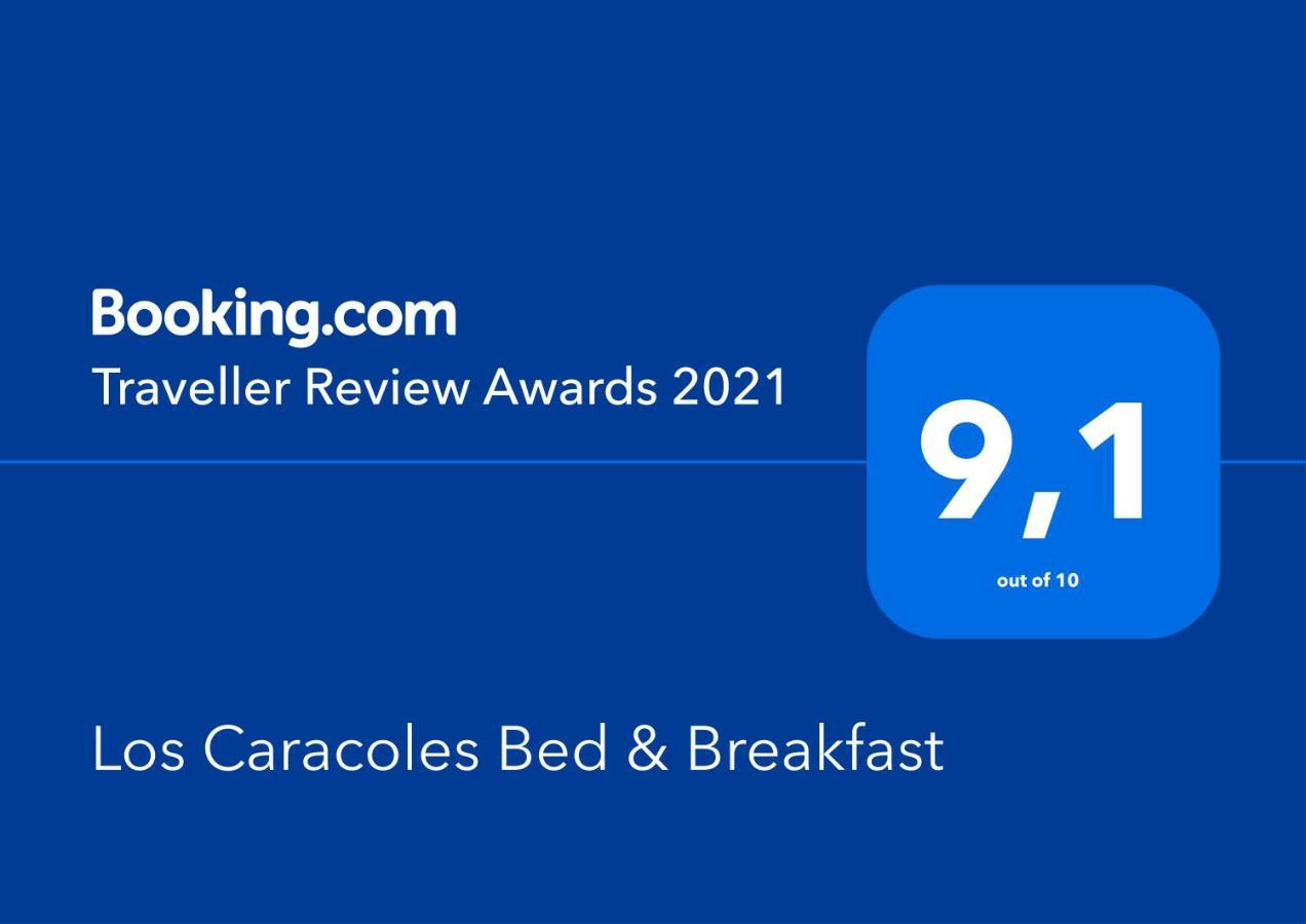 Los Caracoles Bed & Breakfast Cancun Exterior photo