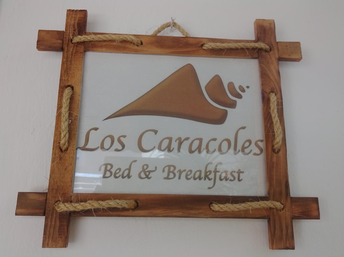 Los Caracoles Bed & Breakfast Cancun Exterior photo
